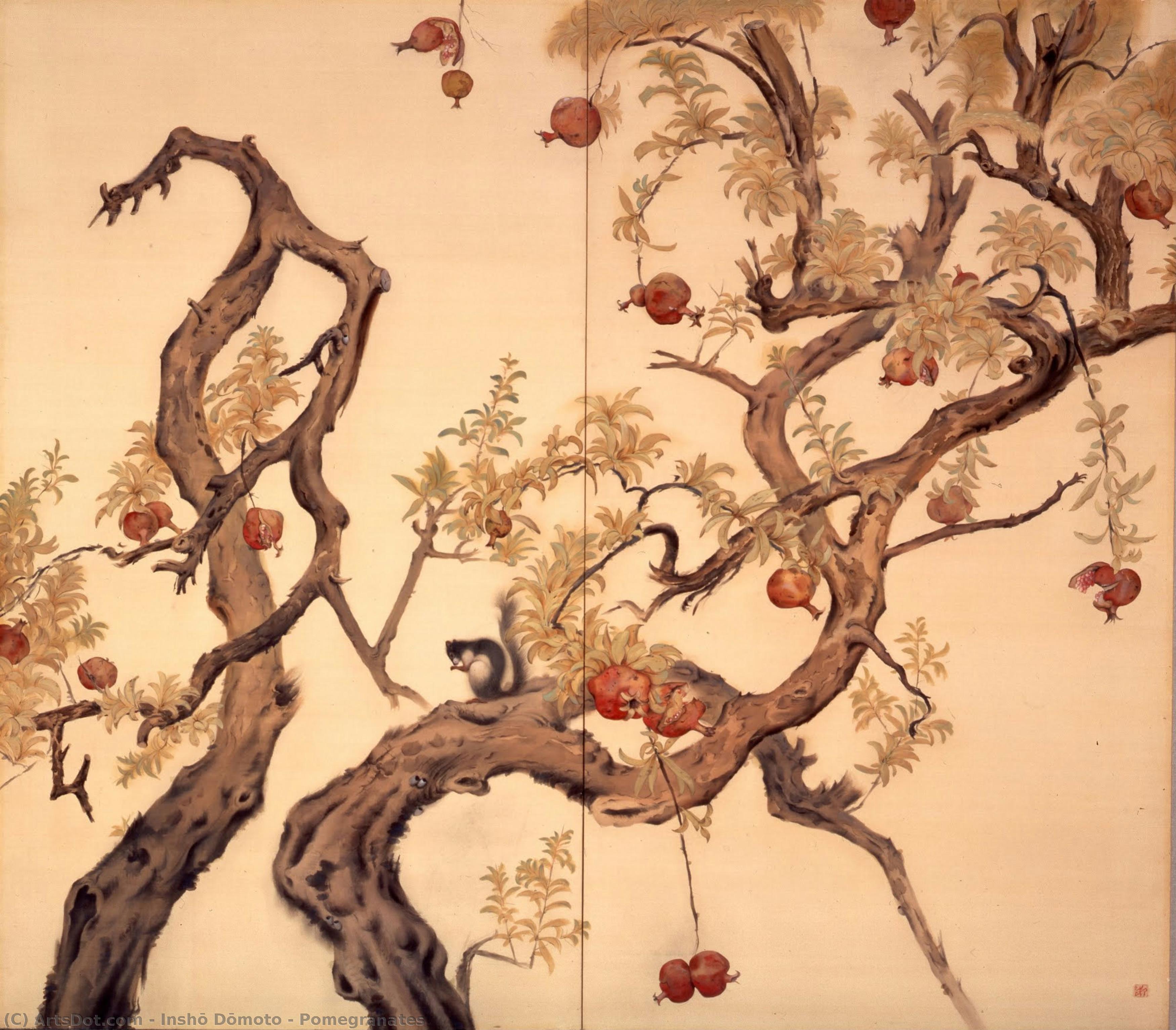Pomegranates — 堂本 印象