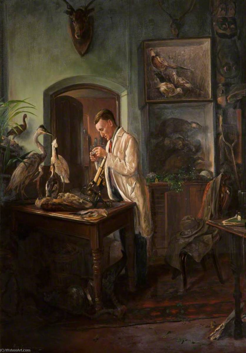 The Naturalist — George Henry Wimpenny