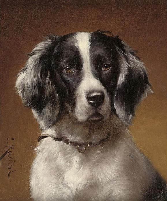 Study Of A Spaniel — Carl Reichert