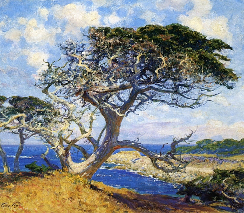 Monterey Cypress — Guy Rose
