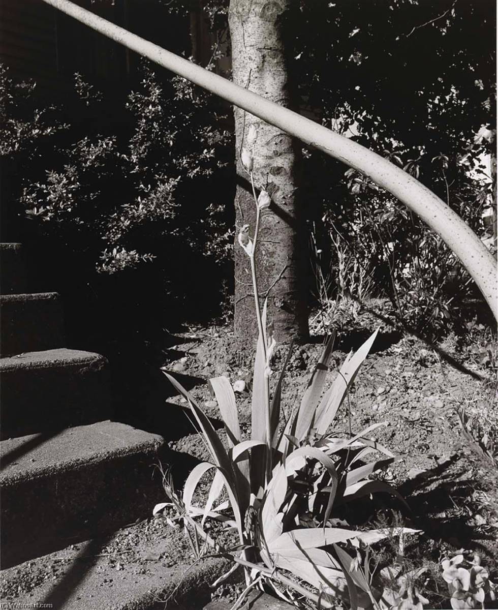 Untitled, From Seattle Portfolio — John Ralph Gossage