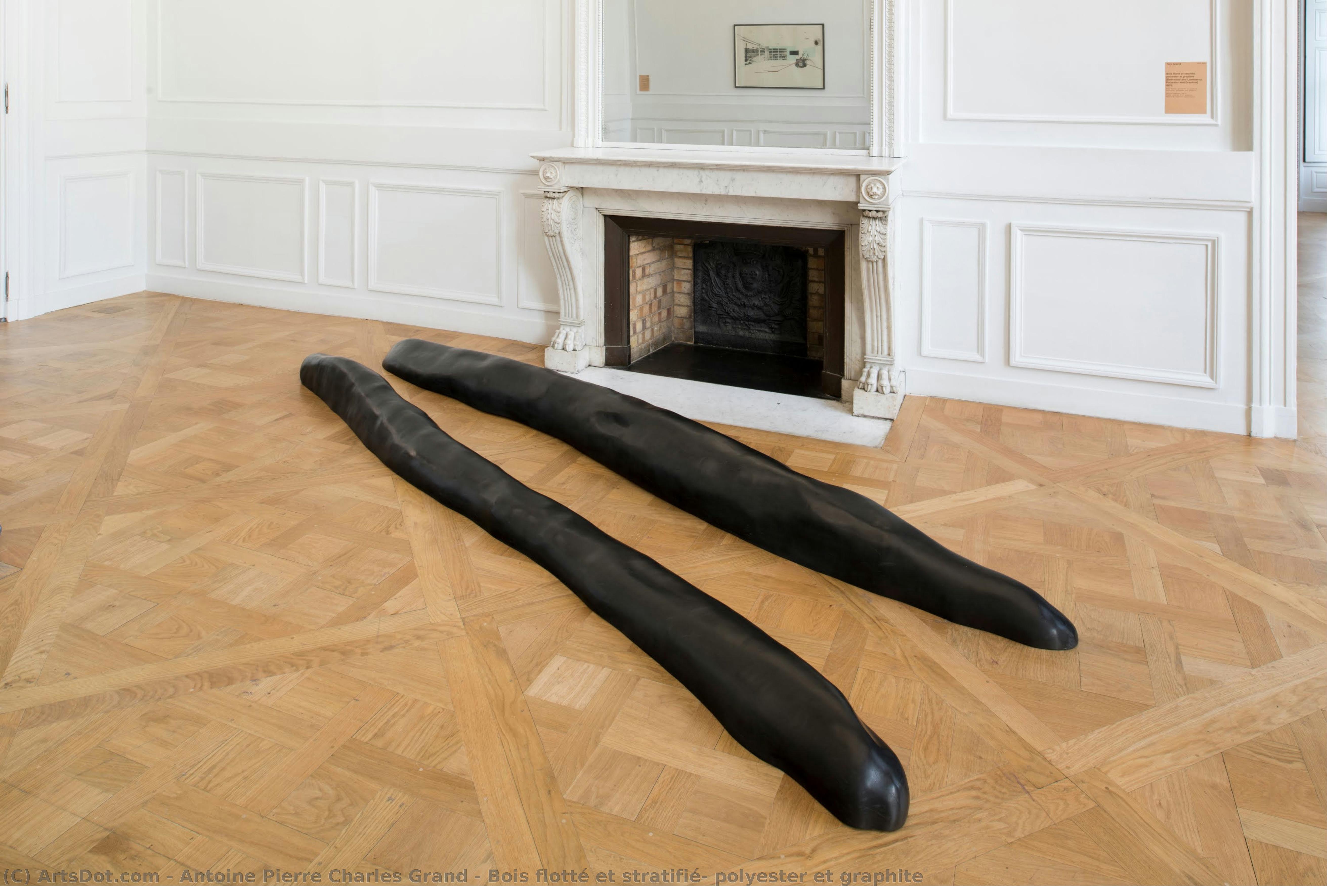 Bois Flotté Et Stratifié, Polyester Et Graphite — Antoine Pierre Charles Grand