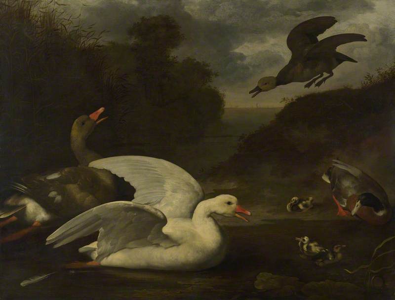 Geese And Ducks — Johannes Spruyt