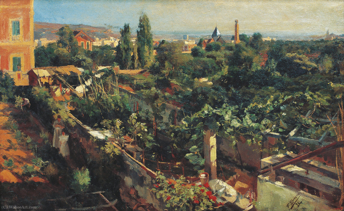 The Grapevines — Francisco Arasa
