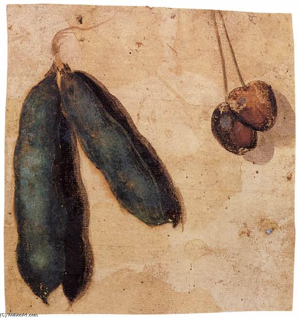 Peapods And Cherries — Simone Peterzano