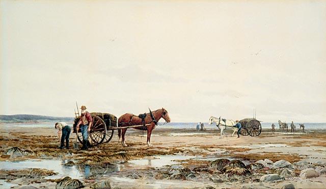 Untitled (aqzq96) — Farquhar Mcgillivray Knowles