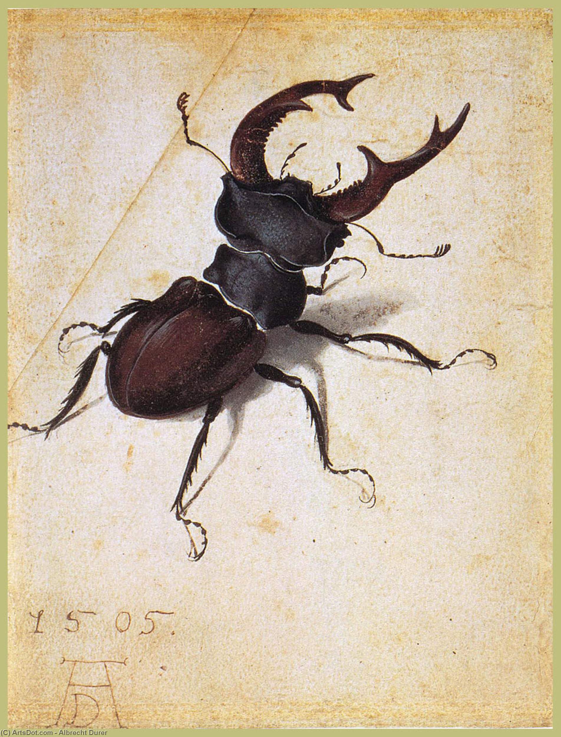 Cervus Lucanus — Альбрехт Дюрер