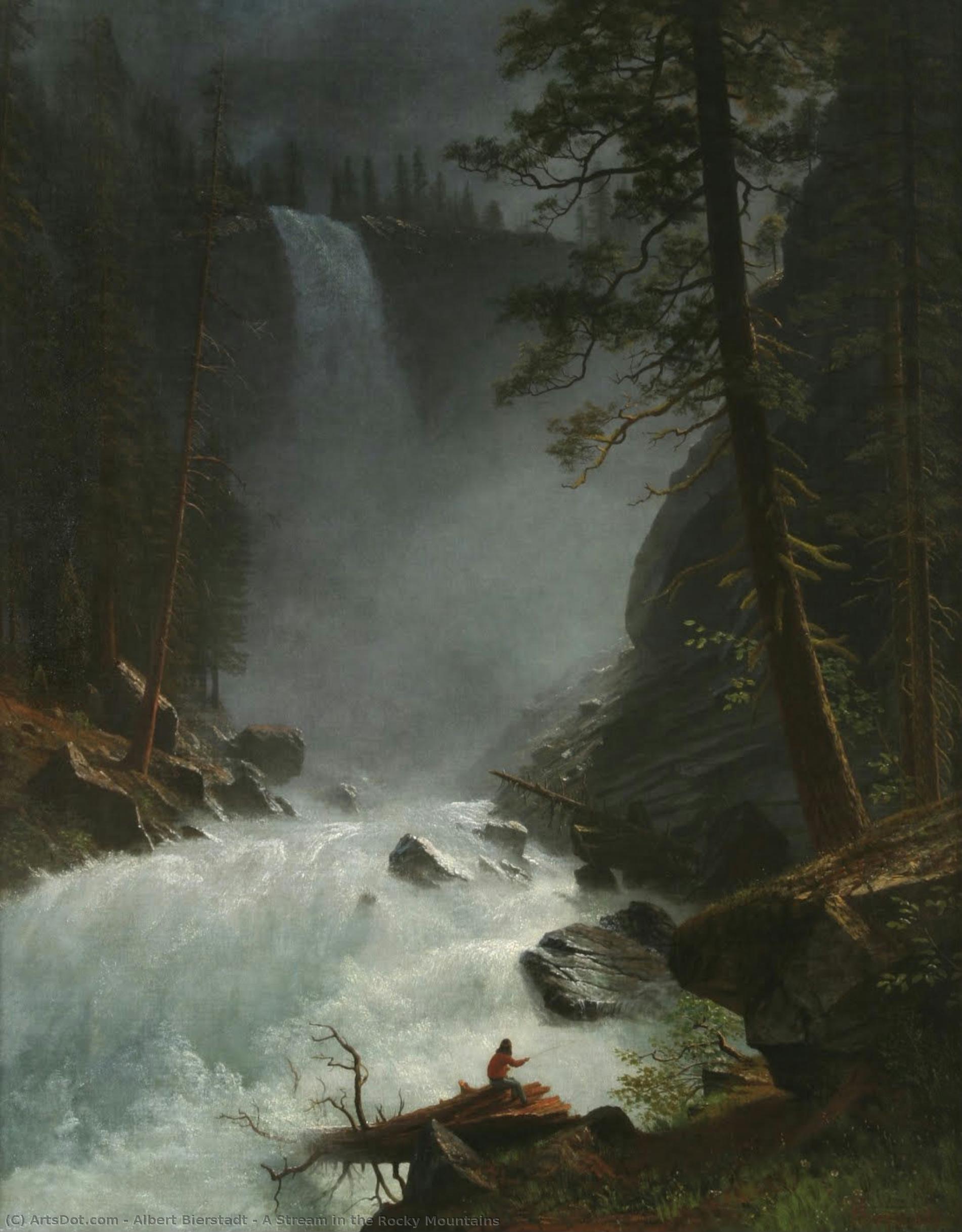 A Stream In The Rocky Mountains — Альберт Биерштадт