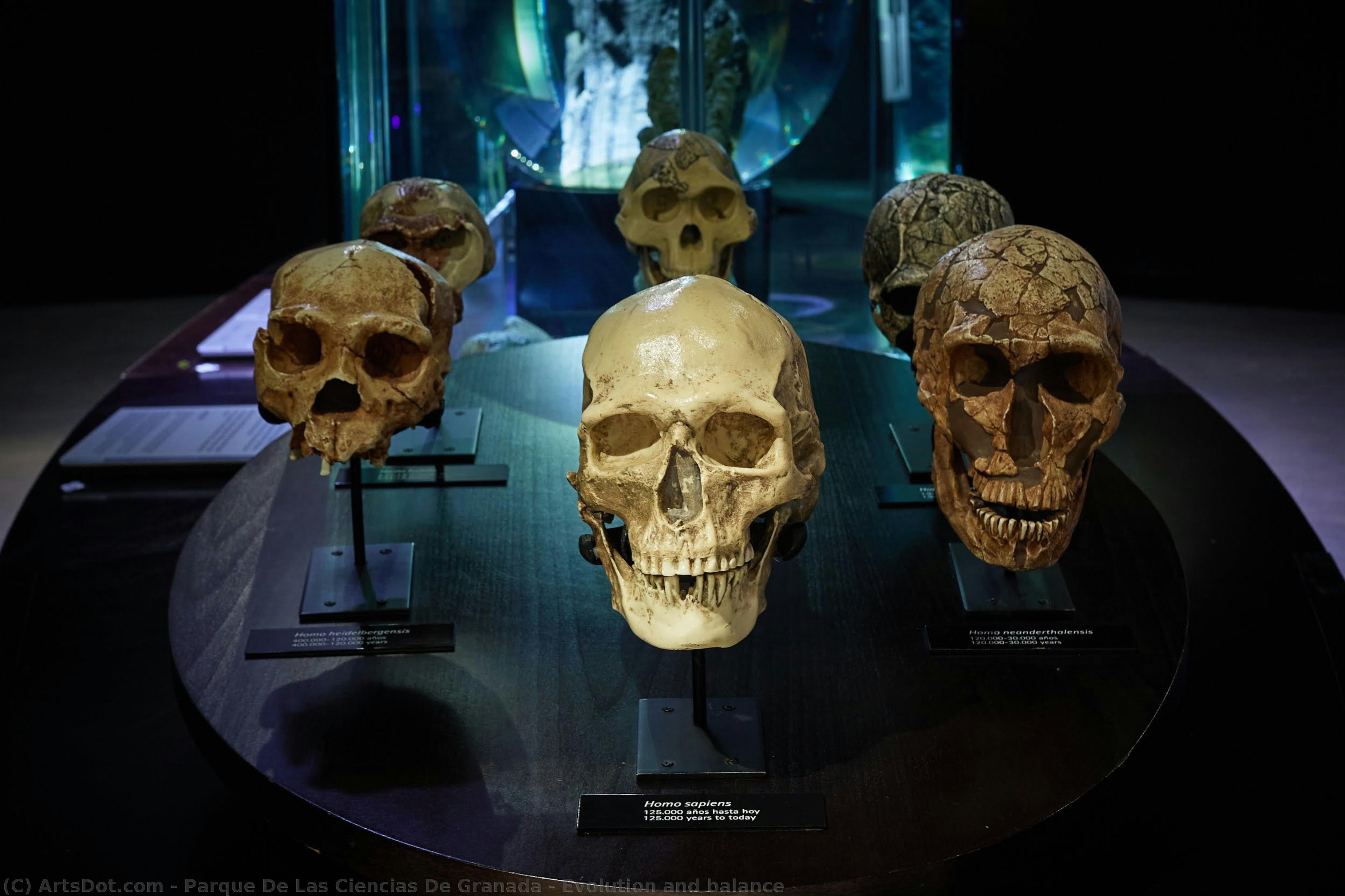 Evolution And Balance — Parque De Las Ciencias