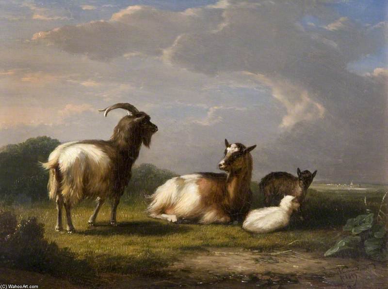 Goats — Franz Van Severdonck