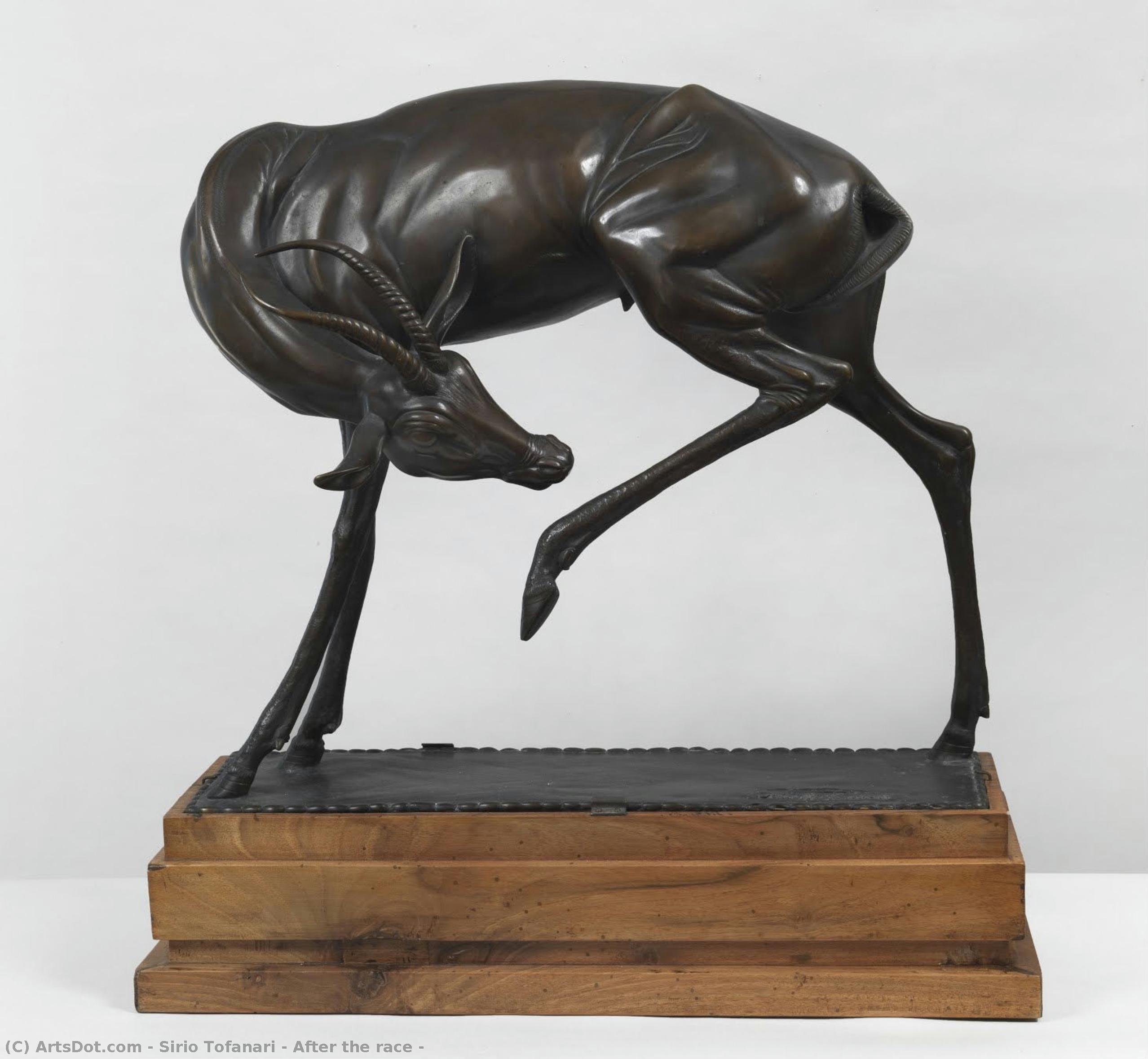 After The Race — Sirio Tofanari