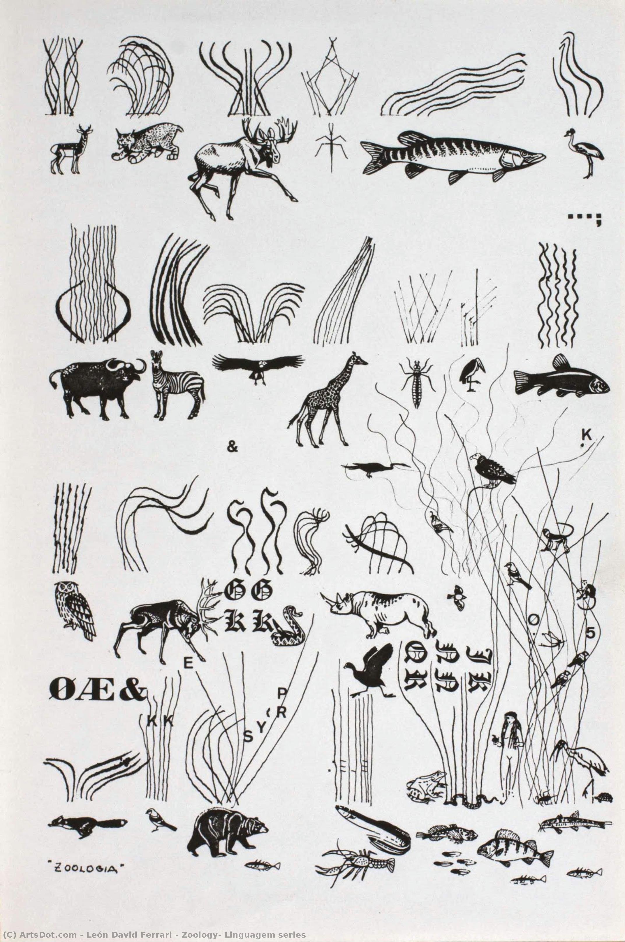 Zoology, Linguagem Series — León David Ferrari