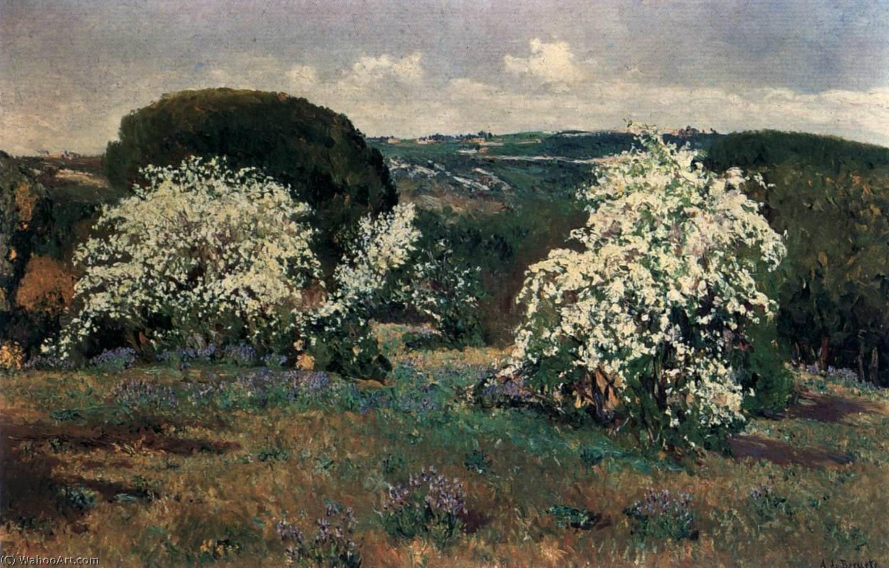 Hawthorn In Blossom — Aureliano De Beruete Y Moret