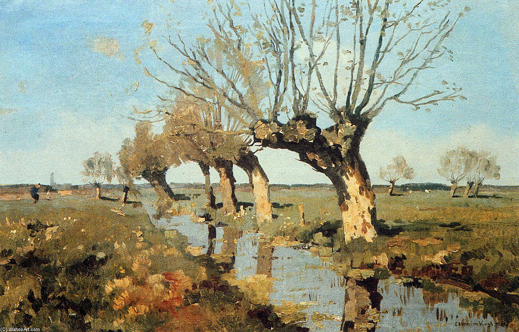 Pollard Willow At The Side Of The Broo — Cornelis Vreedenburgh