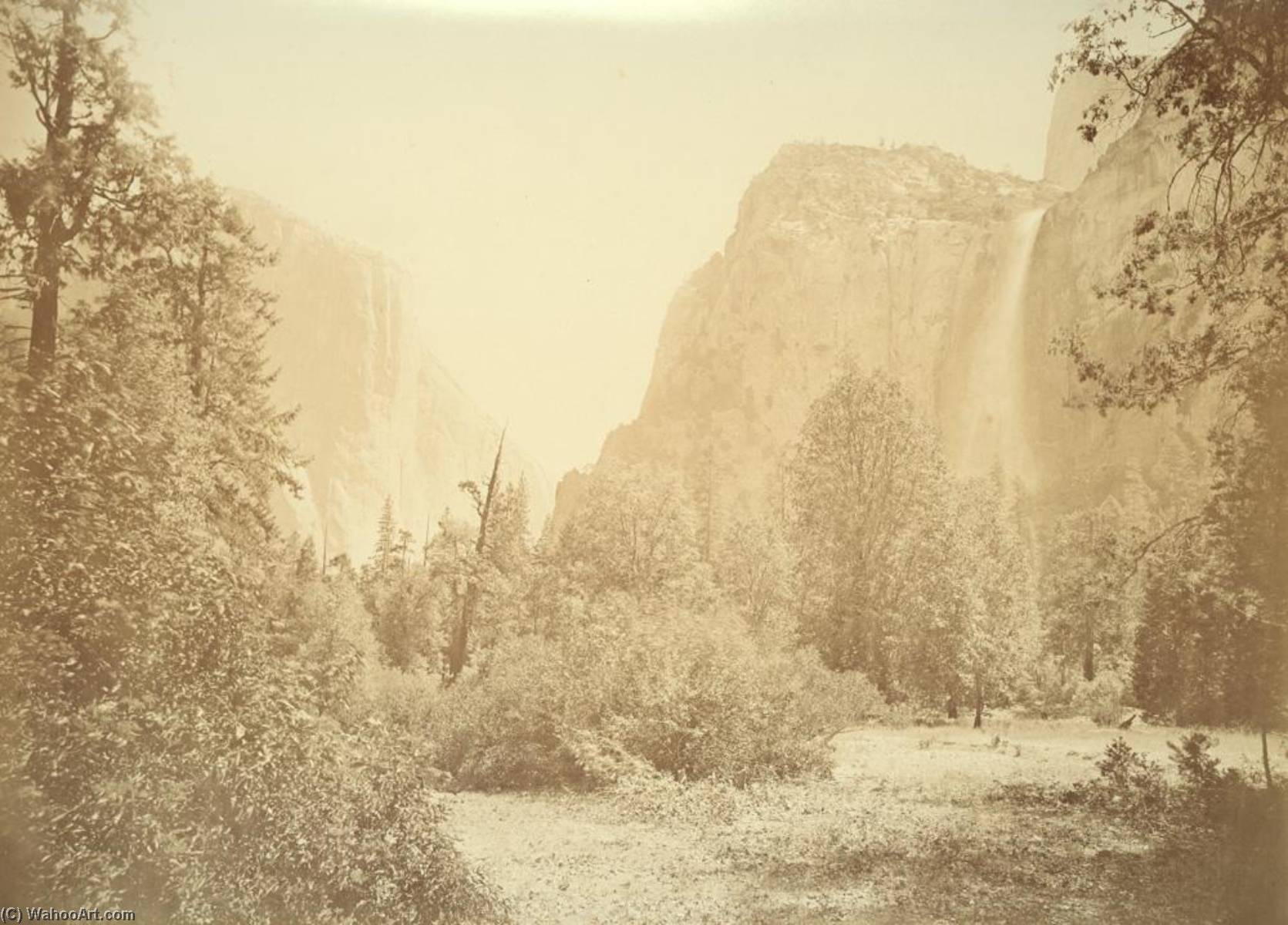 Untitled (aqtdl9) — Carleton Watkins