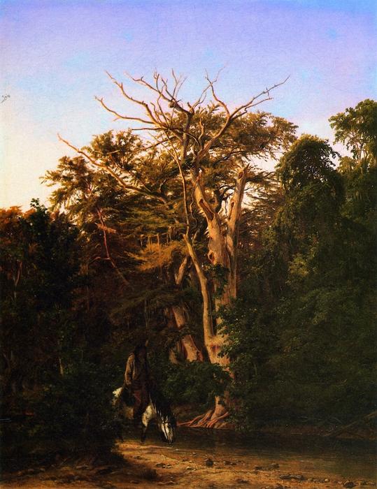 The Old Pinta Crossing On The Guadalupe — Herman Lungkwitz