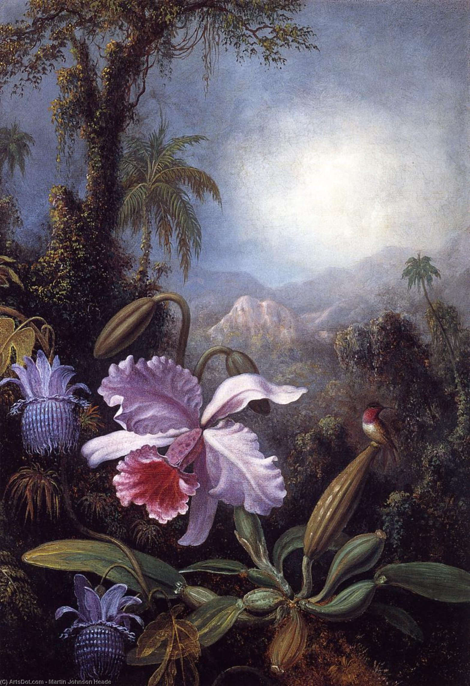 Orchids, Passion Flowers And Hummingbird — Martin Johnson Heade