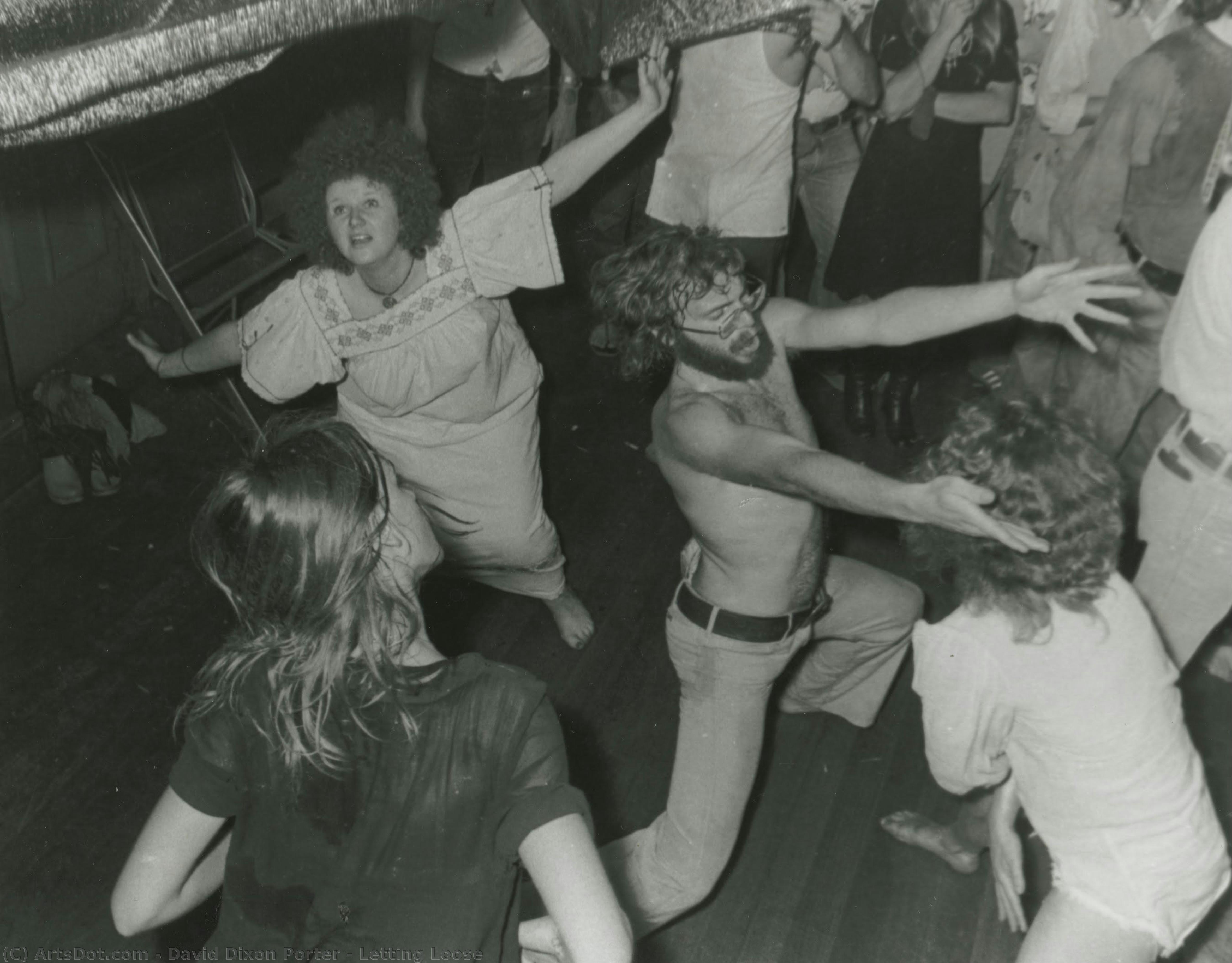 Letting Loose — David Dixon Porter