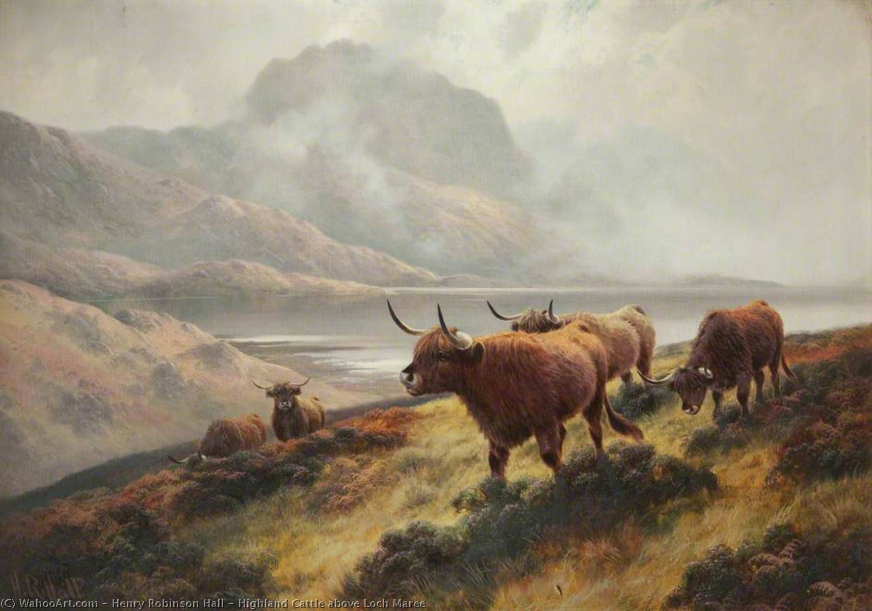 Highland Cattle Above Loch Maree — Henry Robinson Hall