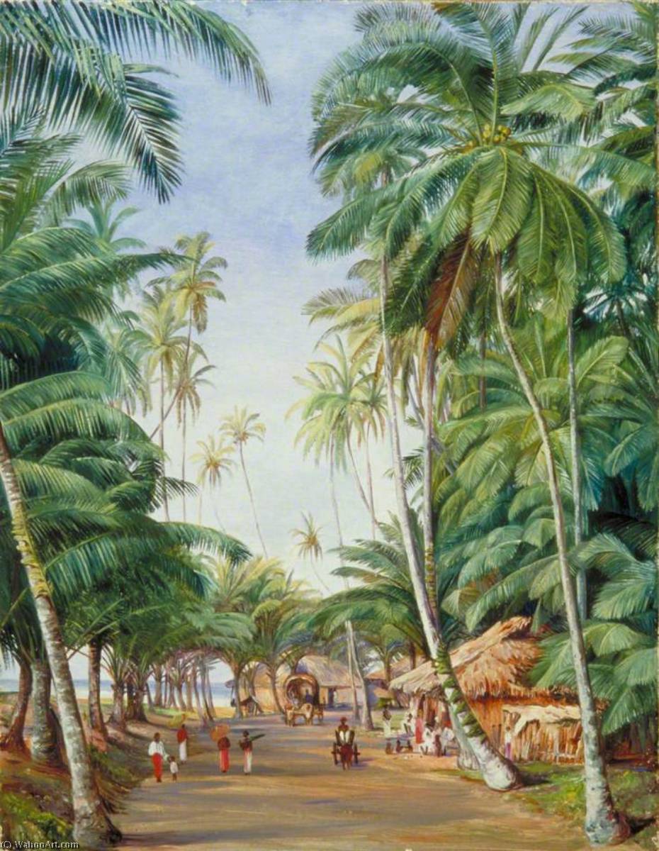 Roadside Scene Under The Cocoanut Trees At Galle, Ceylon — Marianne North