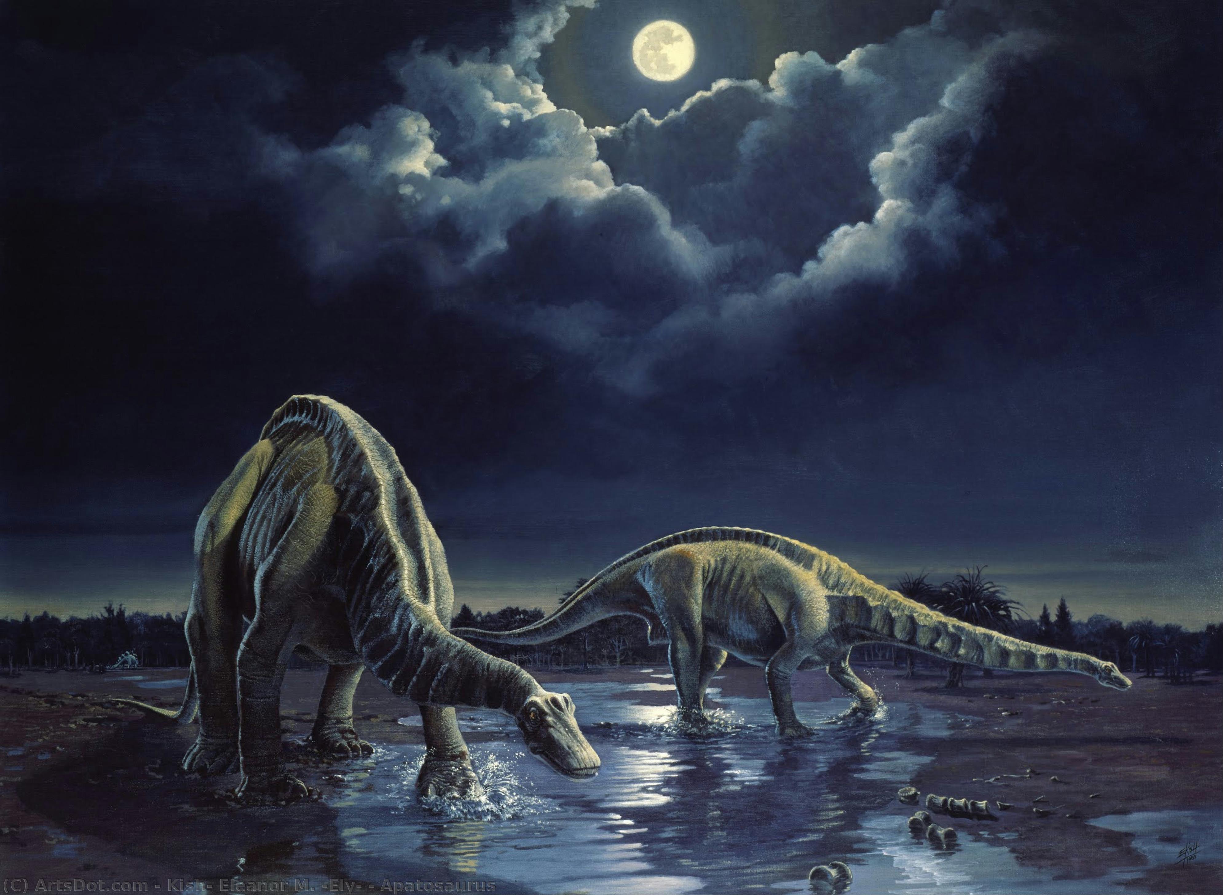 Apatosaurus — Eleanor Kish