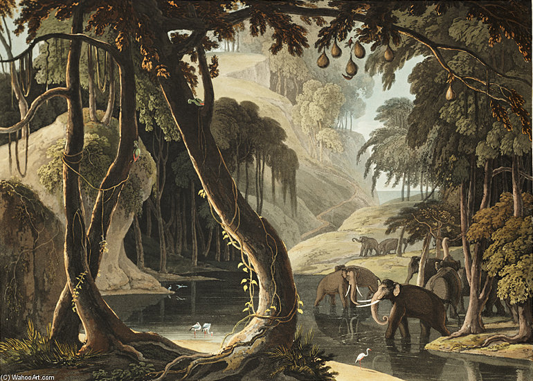 A Scene In Sitsikamma - — Сэмюэл Дэниел