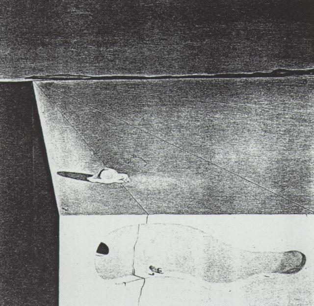 Huevos Fritos Sobre Una Placa Sin Plato — Salvador Dalí