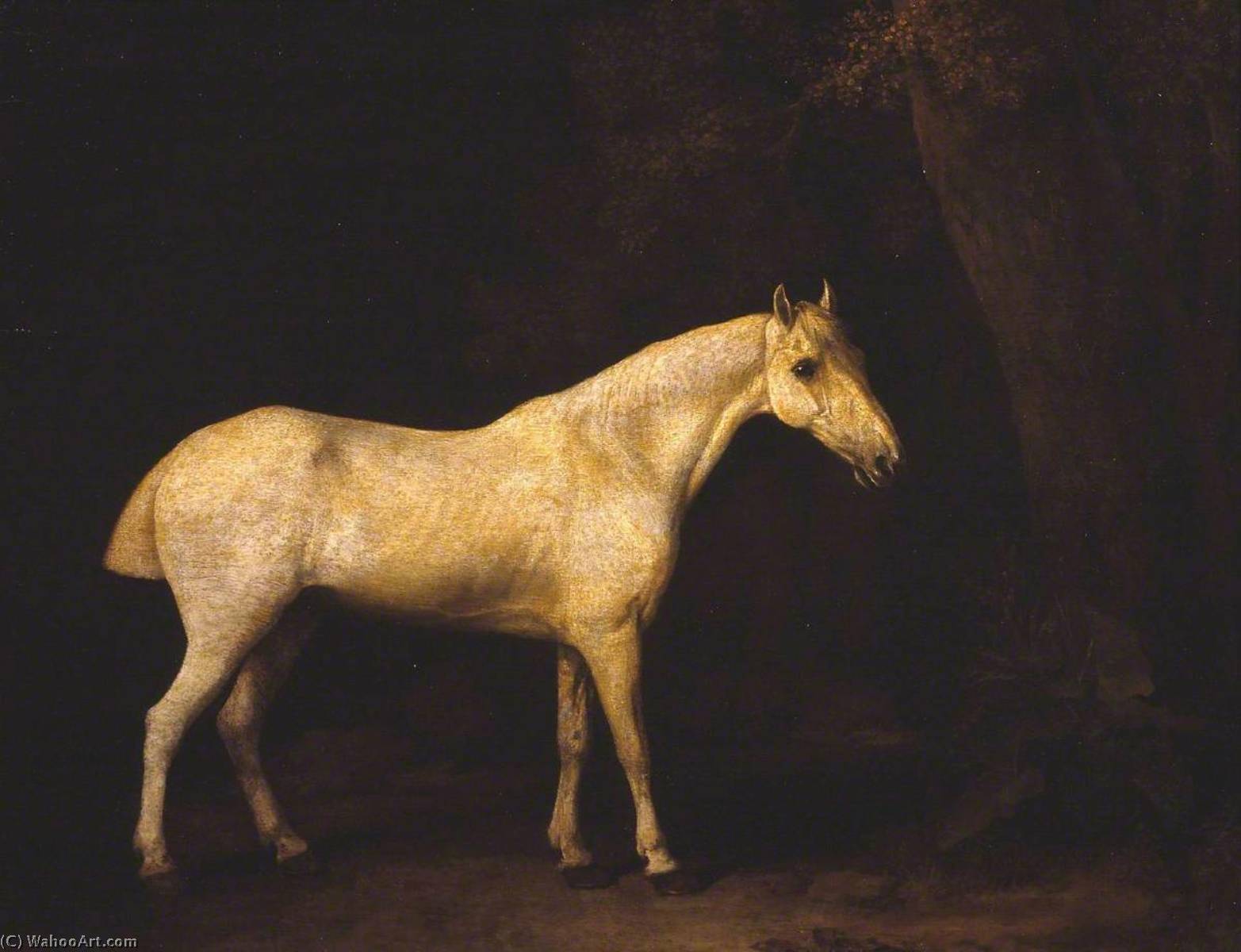 Horse In The Shade Of A Wood — George Stubbs