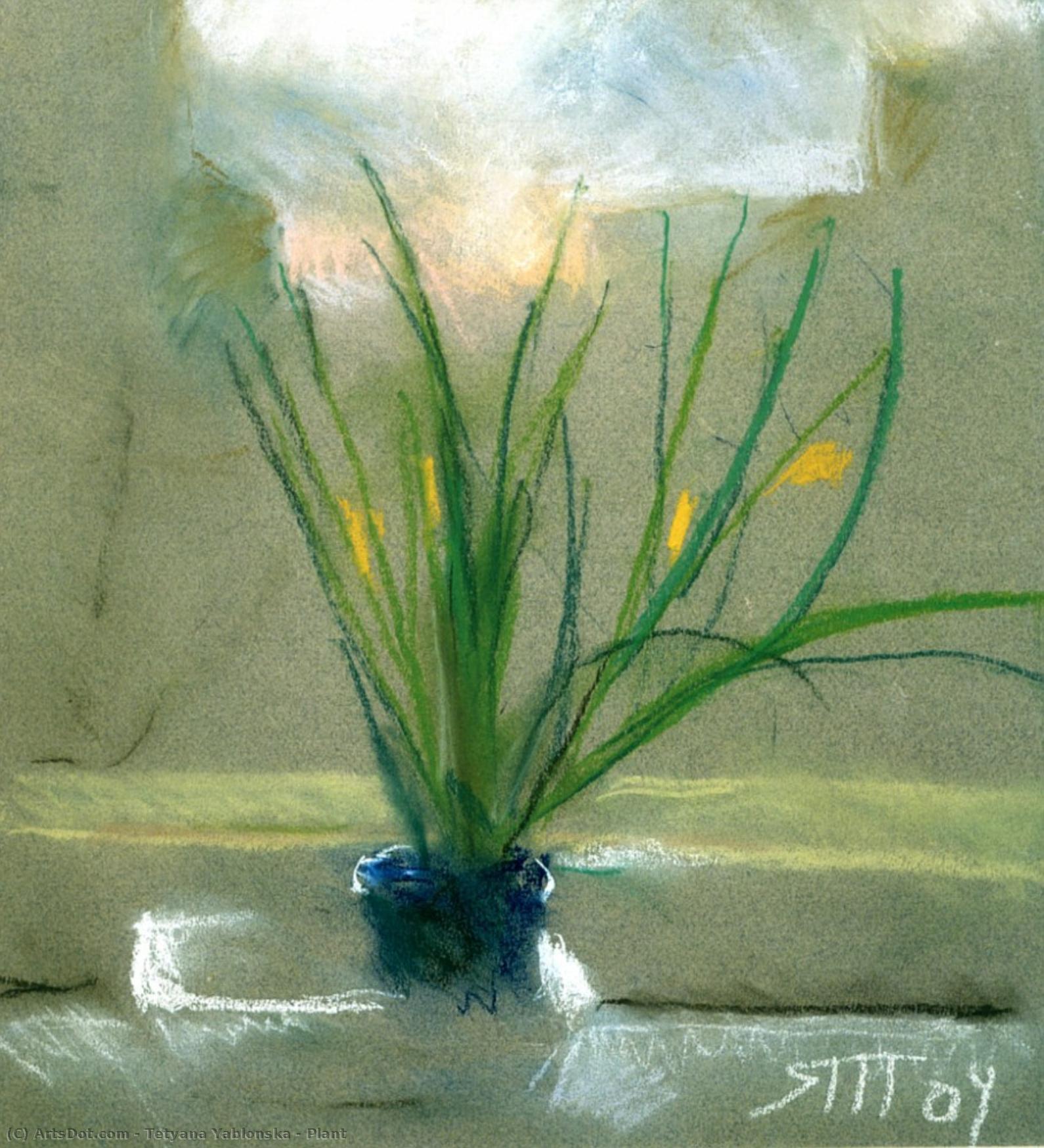 Plant — Tetiana Nylivna Yablonska