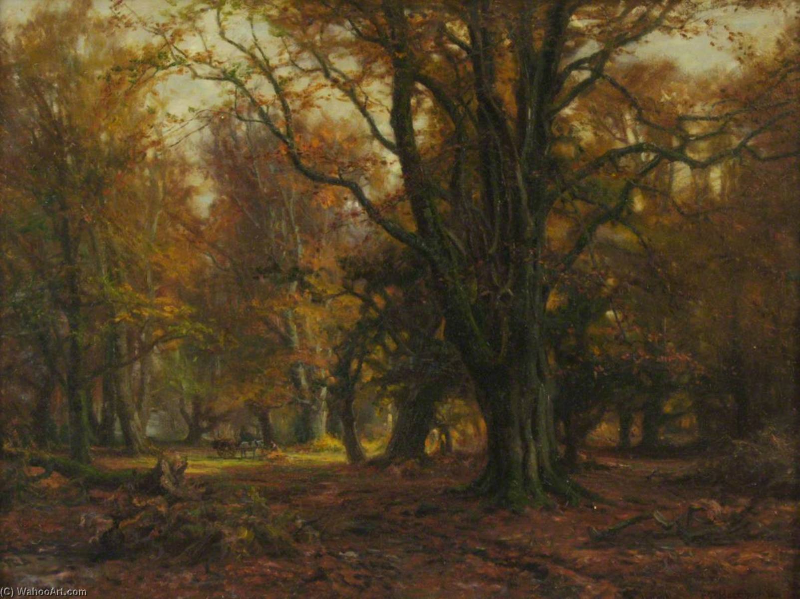 New Forest — Frederick Golden Short