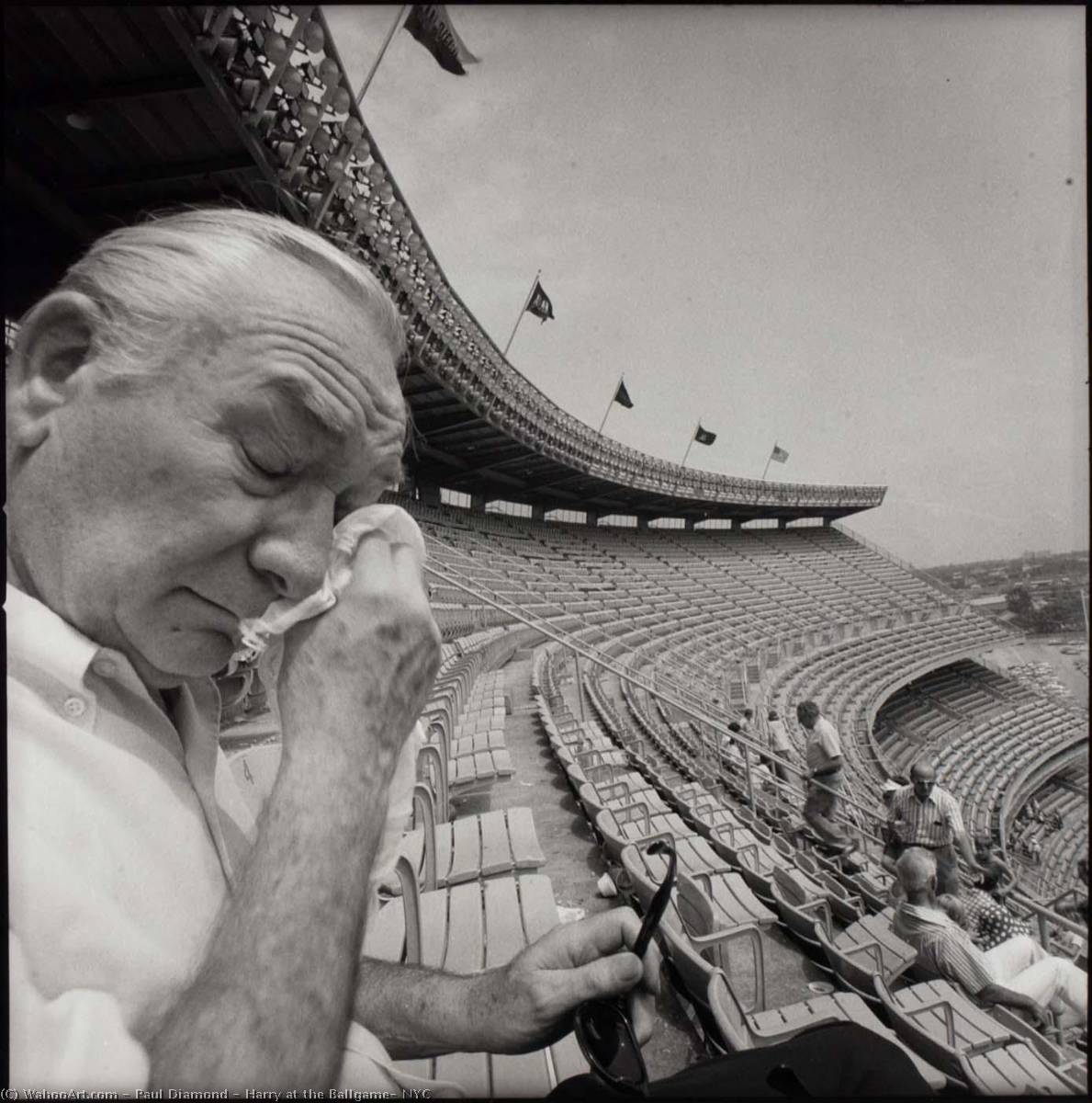 Harry At The Ballgame, Nyc — Paul Diamond