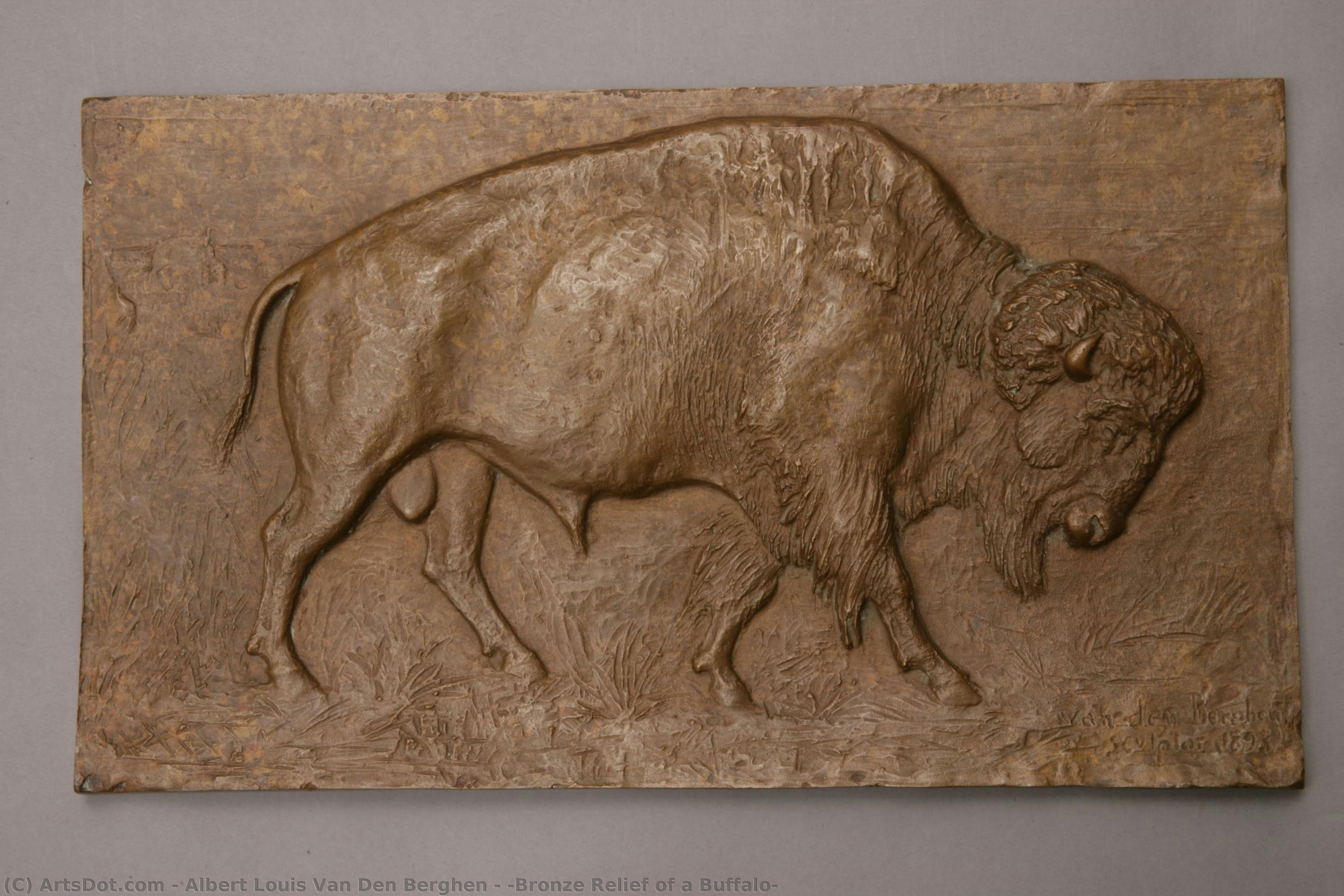 (bronze Relief Of A Buffalo) — Albert Louis Van Den Berghen