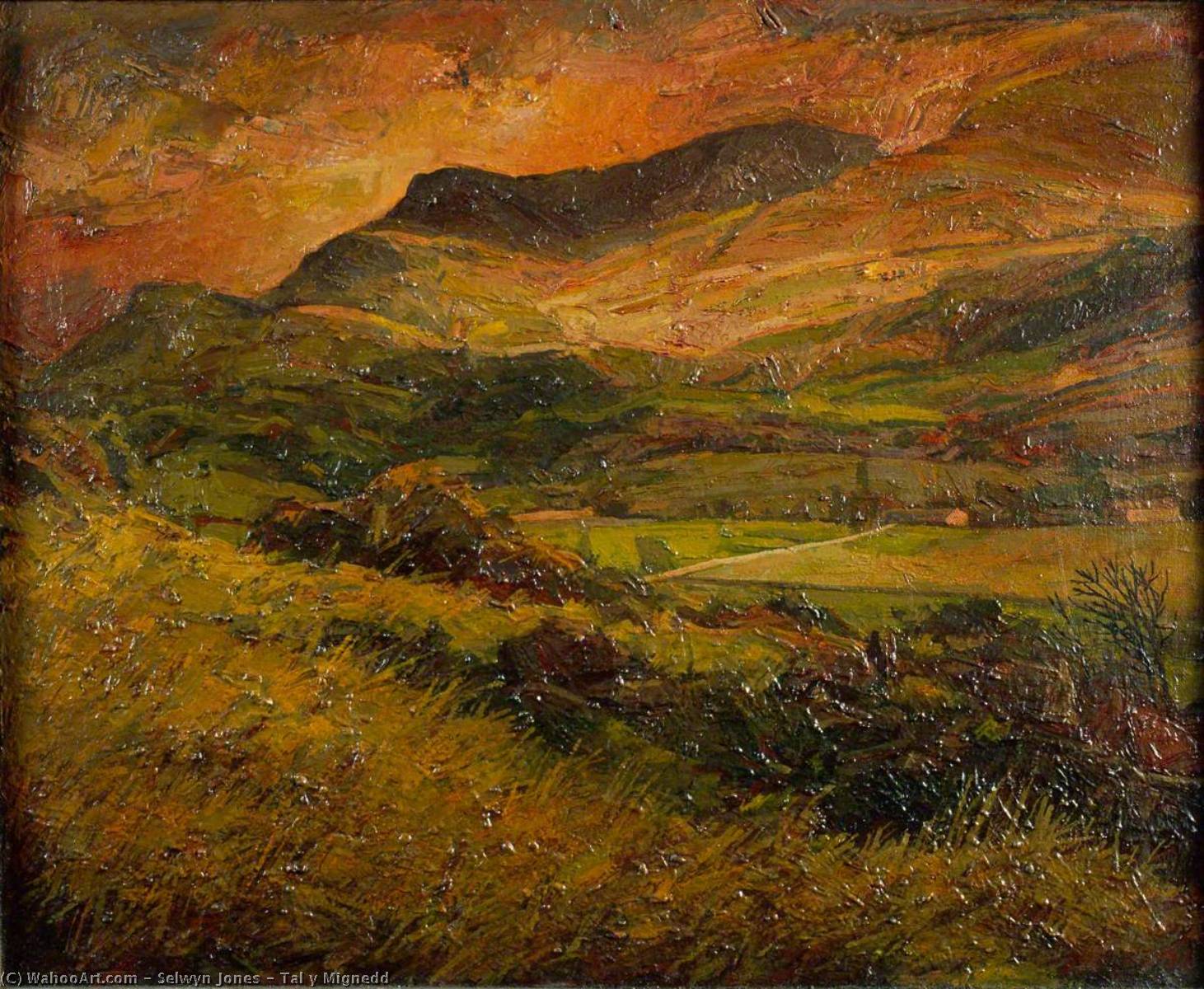 Tal Y Mignedd — Selwyn Jones