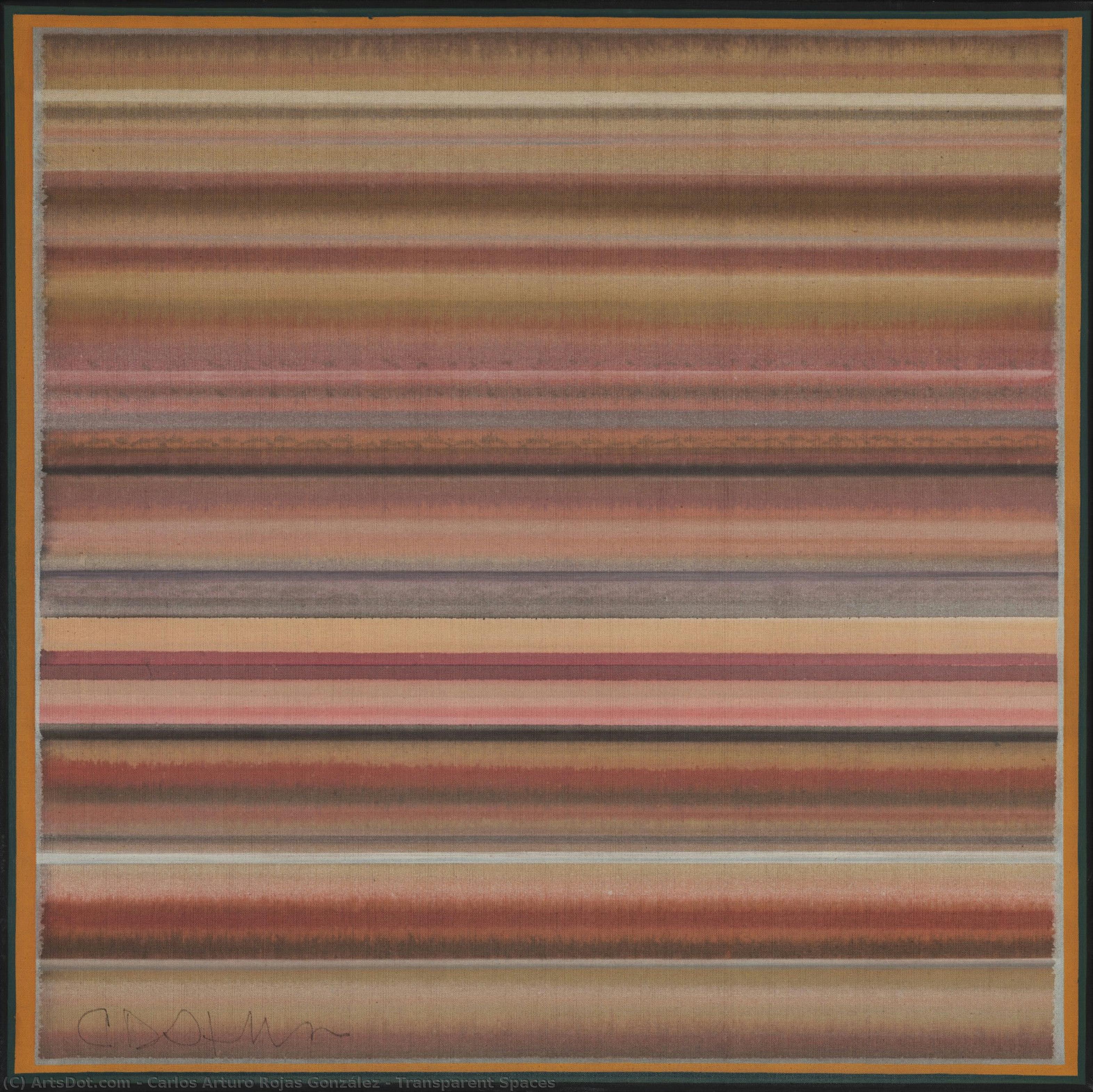 Transparent Spaces — Carlos Arturo Rojas González