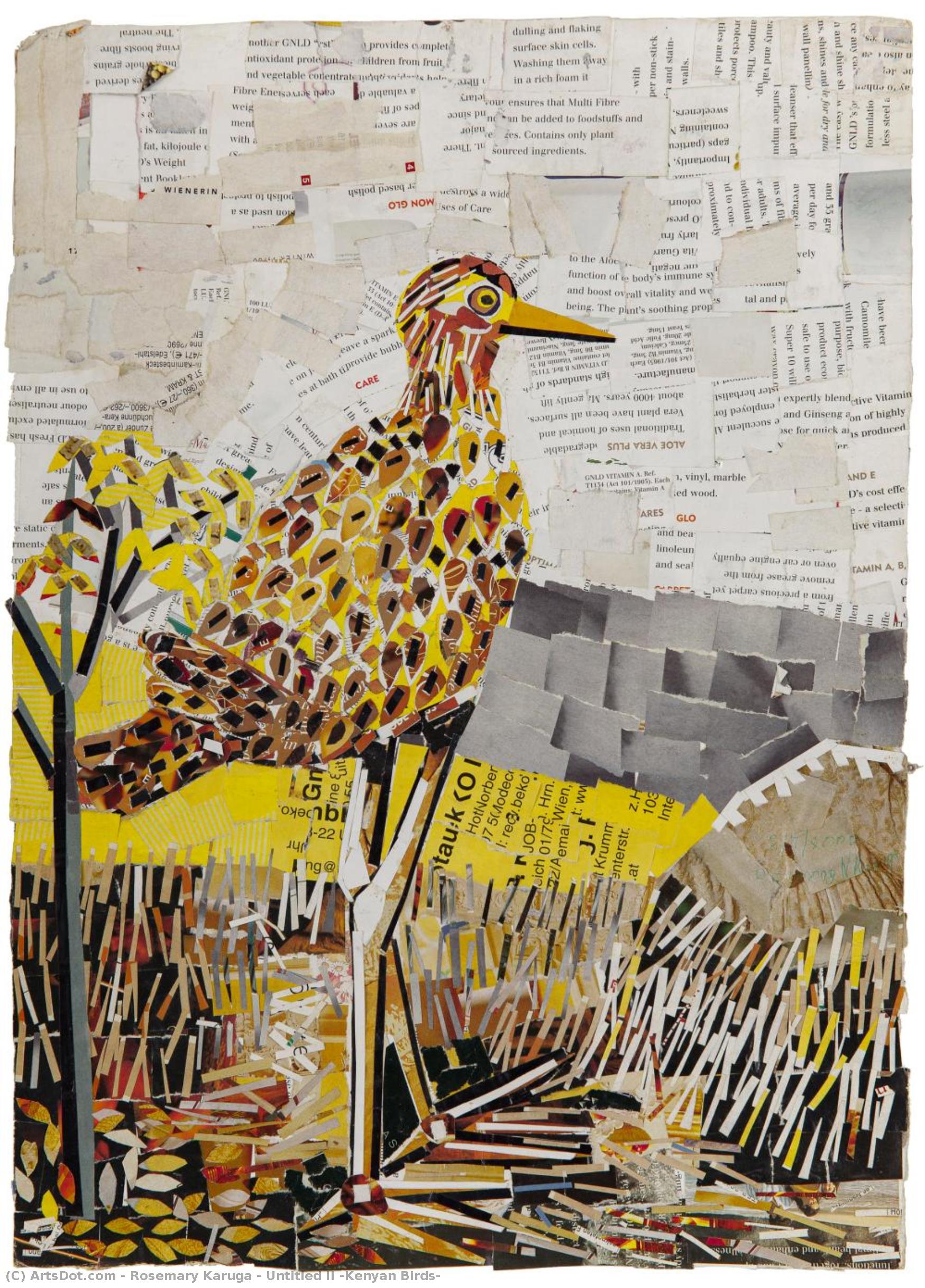Untitled Ii (kenyan Birds) — Rosemary Karuga