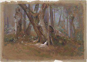 Woodland Interior