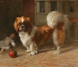 'bo', A Pekingese Dog — Evelyn Blacklock