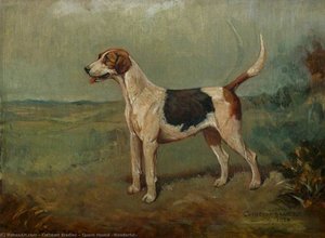 Quorn Hound 'wonderful' — Cuthbert Bradley