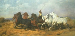 La Foulaison Du Blé En Camargue — Bonheur Marie Rosalie