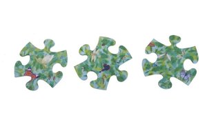 Jungle Jigsaw — Sally Court