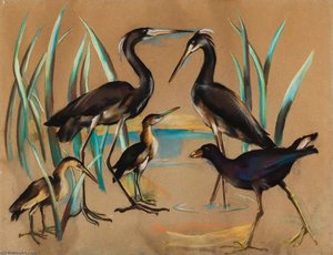 2 Least Bitterns 1 Purole Callumule 2 Louisiana Herons — Julia Eckel