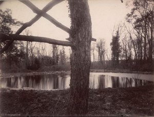 Parc De Sceaux — Eugène Atget