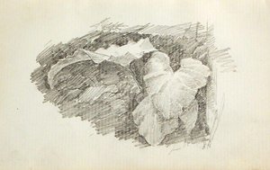 Leaf — John Ottis Adams