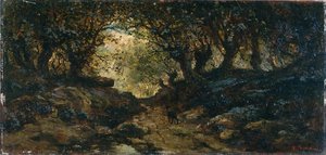 Paysage sous bois