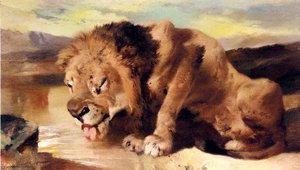 Lion Drinking At A Stream — Sir Edwin Henry Landseer