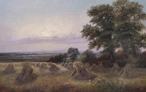 Harvest Scene