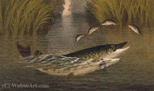 A Pike And Perch — A. Roland Knight