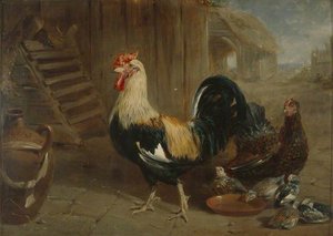 Poultry — Frederick Trevelyan Goodall