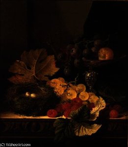 A Still Life of a Bird's Nest
