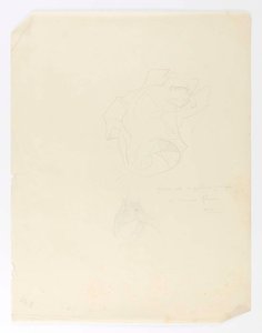 (cat Sleeping On Paper) — Marguerite Zorach